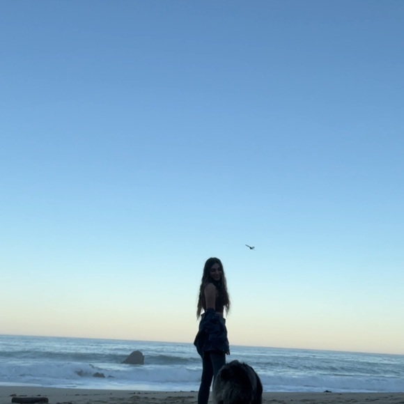 Meet your Posher, Sara - Picture 3 of 12